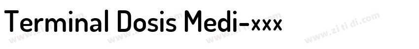 Terminal Dosis Medi字体转换